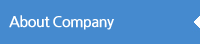 About company