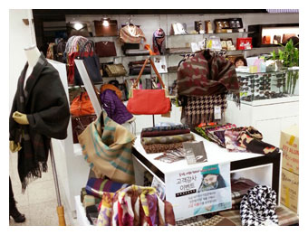 �뱸 �����ǰ��